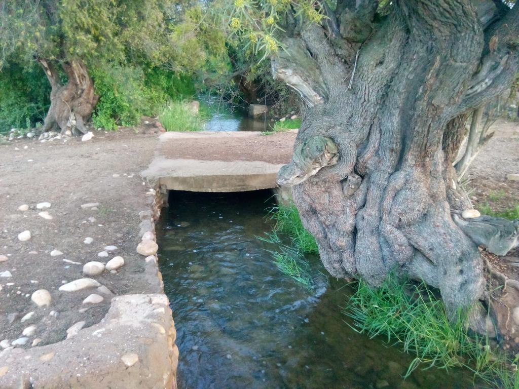 Grysbok Self Catering Accommodation Oudtshoorn Dış mekan fotoğraf